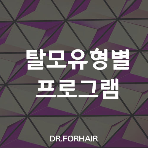 탈모유형별프로그램