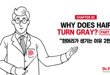 chapter 03. 흰머리가 생기는 이유 2편