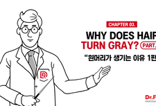 chapter 02. 흰머리가 생기는 이유 1편